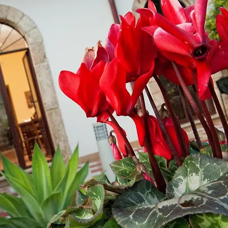 Aparthotel Casale La Zagara Sciacca