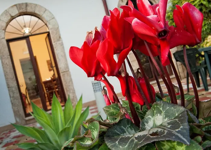 Aparthotel Casale La Zagara Sciacca