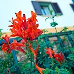 Casale La Zagara Sciacca